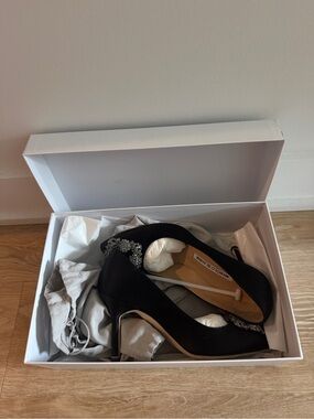 MANOLO BLAHNIK
90mm Hangisi pumps